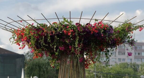 【网站优化进阶】网站优化进阶课程，让你的网站更上一层楼！