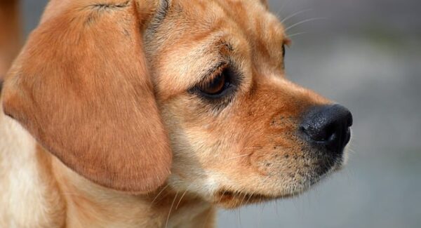 【中创网热门项目】中创网热门项目推荐，把握创业商机