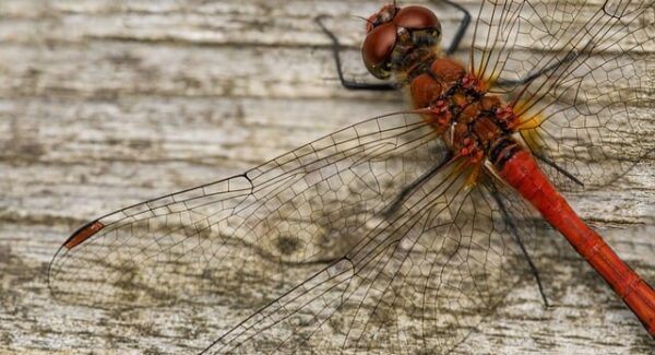 【说钱网精选】说钱网为你精选优质网赚项目，让你轻松实现财富增长！