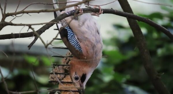 【金旋风网赚论坛新策略】金旋风网赚论坛新策略分享：轻松网赚不是梦