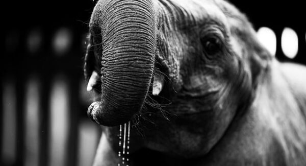 【网络赚钱实战案例】真实案例分享，揭示网络赚钱项目的奥秘！