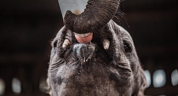 【网站盈利秘籍】掌握网站赚钱技巧，让你的网站成为你的摇钱树！