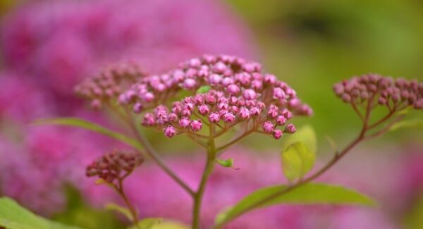 【暮沉网赚实战】暮沉网赚实战案例，教你如何快速盈利