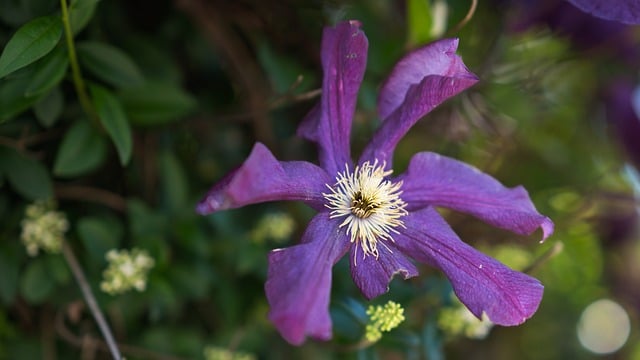 【暮沉资源站揭秘】自媒体教学与网创项目的暮沉资源站探索
