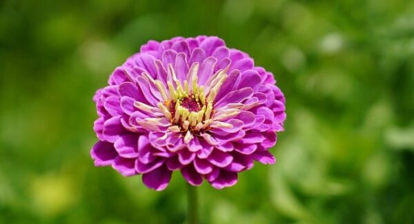 【副业项目网攻略】发掘副业项目网，轻松开启第二职业