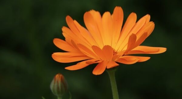 【网创项目资源整合教学】网创项目资源整合教学：提升创业成功率