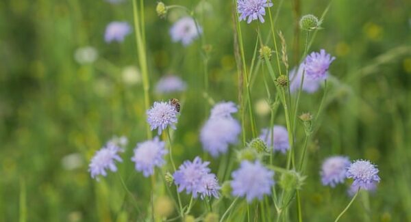 【暮沉网创项目精选】暮沉网创项目推荐，实现你的创业梦想