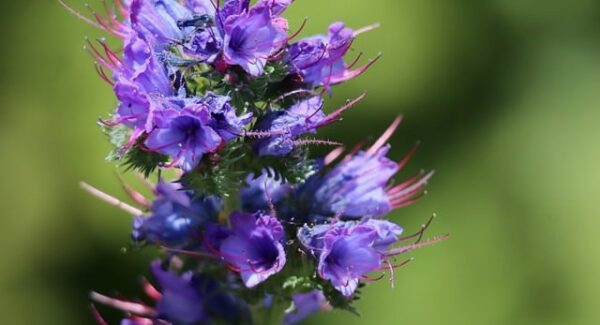 【中创网络热门项目分析】中创网络热门项目分析：把握市场脉搏，赢在起跑线