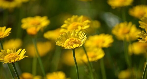 暮沉资源站用户案例分享：自媒体人的成功之路