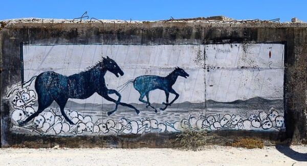 【中创网创业指南】中创网带你走进互联网创业的新世界