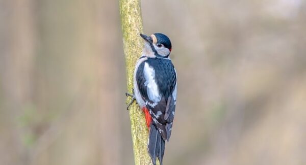 【热门项目推荐】热门创业项目推荐，让你紧跟市场趋势，抓住商机！