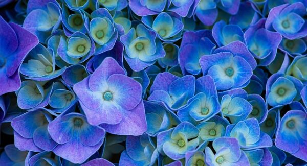 【最新网赚趋势】掌握最新网赚趋势，网赚网站助你抢占先机！