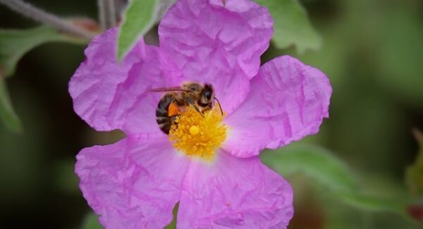 【爱发资源整合网分享】爱发资源整合网：一站式资源整合平台