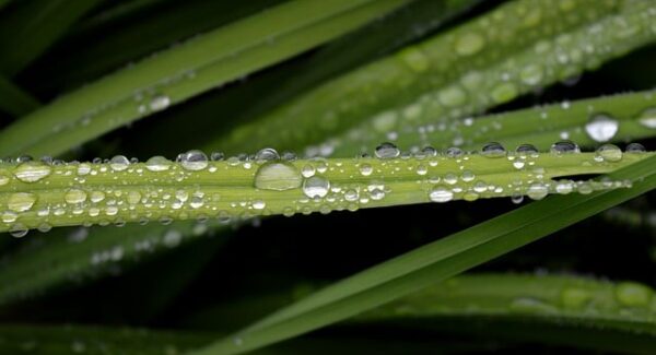 【创业灵感库】创业灵感库：激发你的创业灵感与创意！