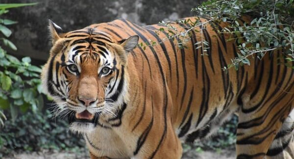 【千梦网创项目解析】千梦网创项目深度解析：你的成功创业之选