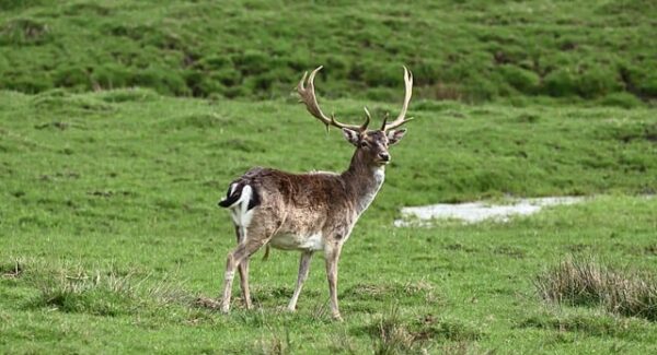 【福缘创业网创业指南】福缘创业网：创业路上的指路明灯