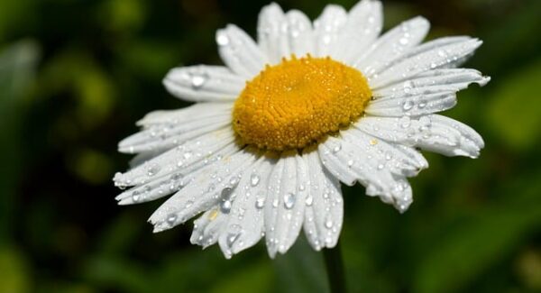 【中创网深度解读】中创网带你走进互联网创业新时代