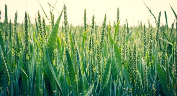 【网站赚钱策略】网站赚钱策略分享，让你的网站更具盈利能力！