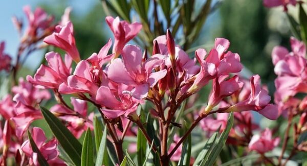 【创业故事会】听创业者讲述怎么网上创业的故事，激发你的创业激情！