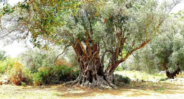 【福缘创业网启示】福缘创业网带你走向成功创业之路