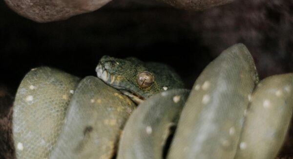 【SEO赚钱新方法】探索SEO赚钱的新方法，让你的收入稳步增长！