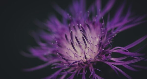 【创业新纪元】开启网上创业新纪元，掌握成功创业的关键！