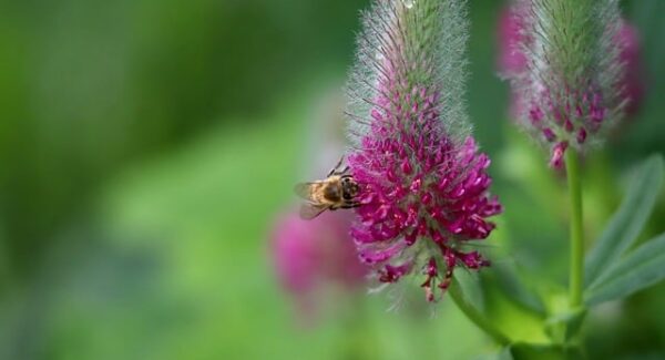 【SEO培训课程精选】精选SEO培训课程，助你成为SEO专家！