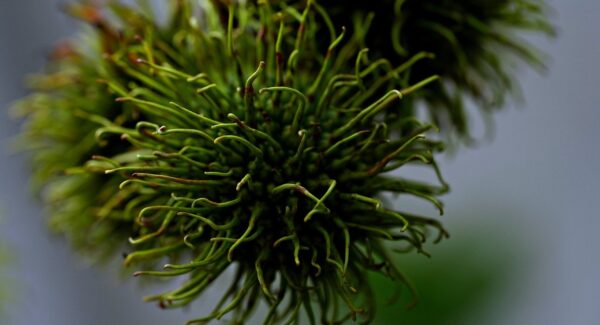 【无本博客赚钱秘诀】无本博客也能赚钱？秘诀在这里！