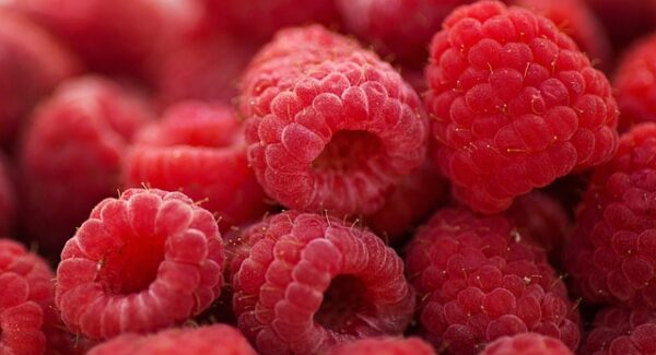 【网赚论坛新动态】网上赚钱论坛新动态分享，让你随时掌握网赚行业的最新资讯！