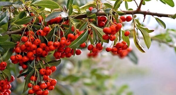 【百度分享新技巧】百度分享新技巧分享，提升你的网站用户互动和粘性！