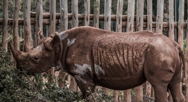 【网赚达人揭秘】轻松实现网上创业，开启你的网赚之旅！