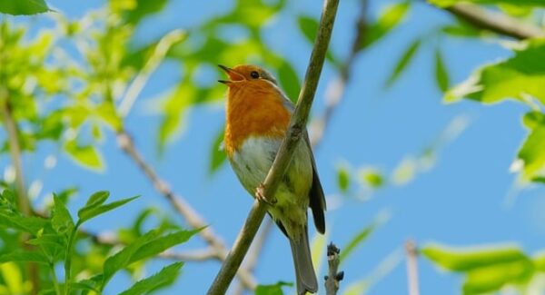 【猎富团创业故事】猎富团分享创业经验，激发你的创业激情