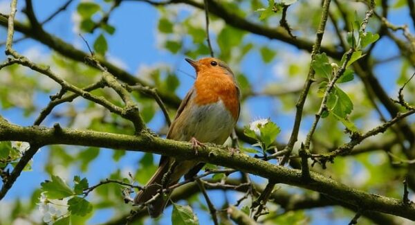 【关键词排优化教程】关键词排优化技巧，让你的网站排名更高