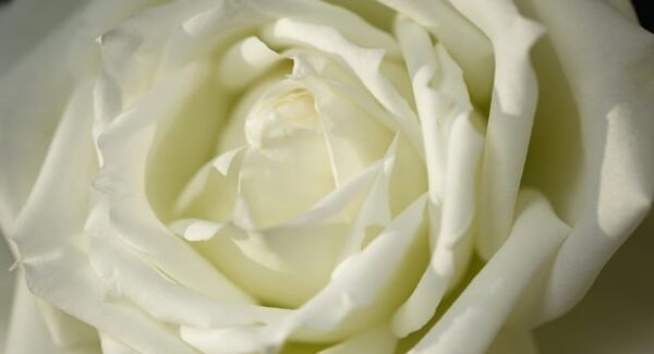 【竞价赚钱全攻略】竞价赚钱全攻略，助你快速盈利！