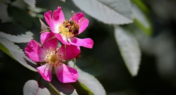 【小淘学社论坛热门】小淘学社论坛热门话题：探索更多创业可能性