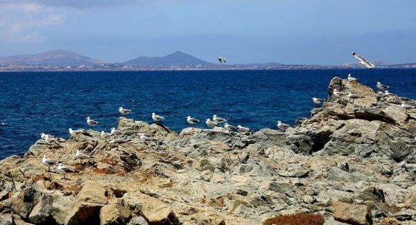 【网赚学习新篇章】开启网赚学习新篇章，助你成为网赚领域的佼佼者！