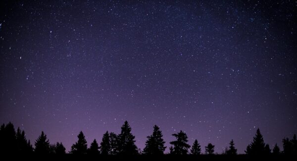 【网赚秘籍】探索网络赚钱新秘籍，让你轻松实现财富增长！