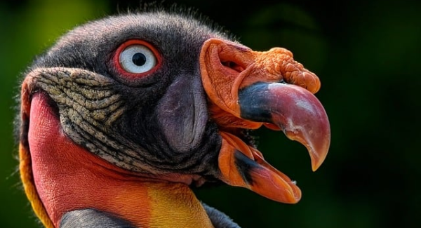 【最新番号库资源精选】最新番号库资源精选：自媒体人必备素材库