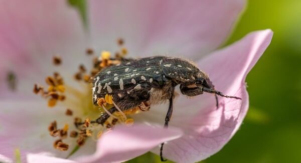 十大正规兼职平台软件评测：找到最适合你的那一个