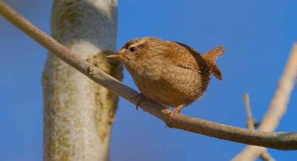 【个人SEO赚钱实战】个人SEO怎么赚钱？实战案例分享
