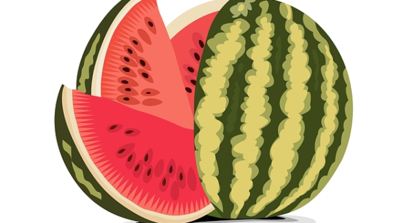 创业商机网实战案例：如何在网创项目中找到你的商机