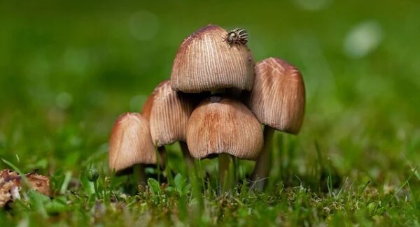 【网赚暴利群的真实故事】揭秘背后的成功与挑战