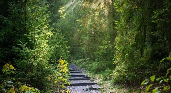 快速获取百度排名：如何利用创业商机网的SEO技巧