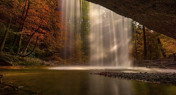 福缘创业网的机遇：如何利用中创网热门项目