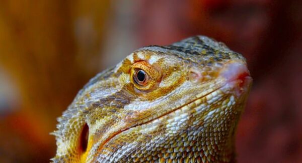 项目网的创新：如何结合我要赚钱网的资源