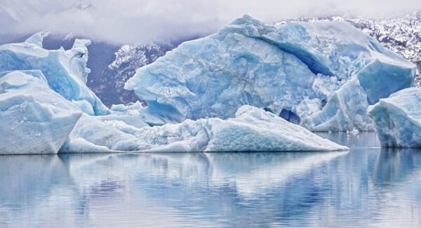 中创网络的崛起：如何在福缘网创业中获得优势