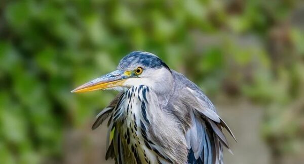 网络赚钱教程升级：从入门到精通，网络赚钱网全程陪伴