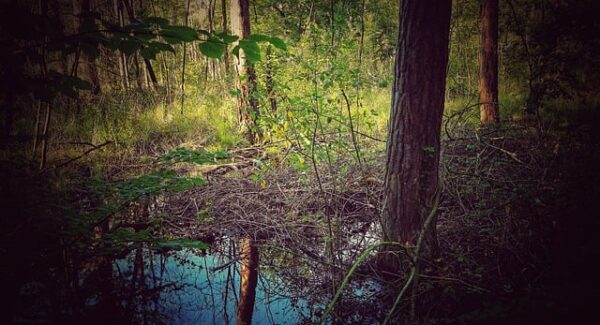 百度快速排名前3：如何利用SEO资源提升网站排名