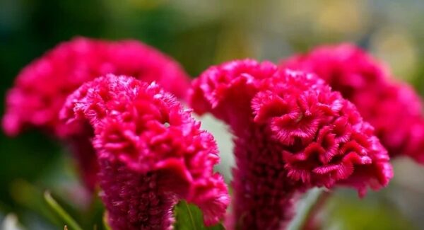 网赚暴利群深度剖析：揭秘群内网赚高手的成功秘诀