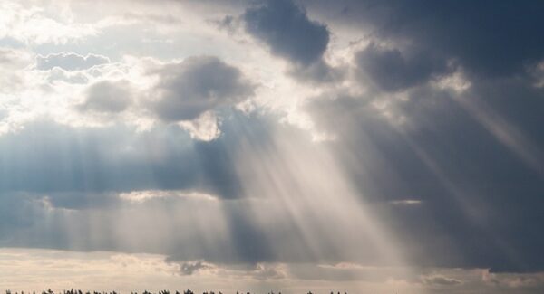 利用百度搜索大数据优化网赚论坛：揭秘友情链接出售的奥秘